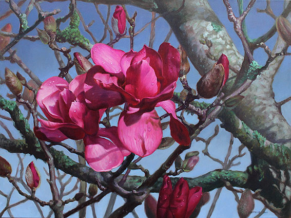zoe feng nz flowers artist, magnolias, roses